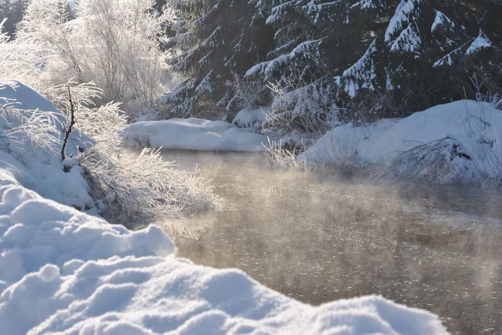 Gite Du Fourperet-Parc Naturel Du Haut-Jura Longevilles-Mont-dʼOr Eksteriør billede