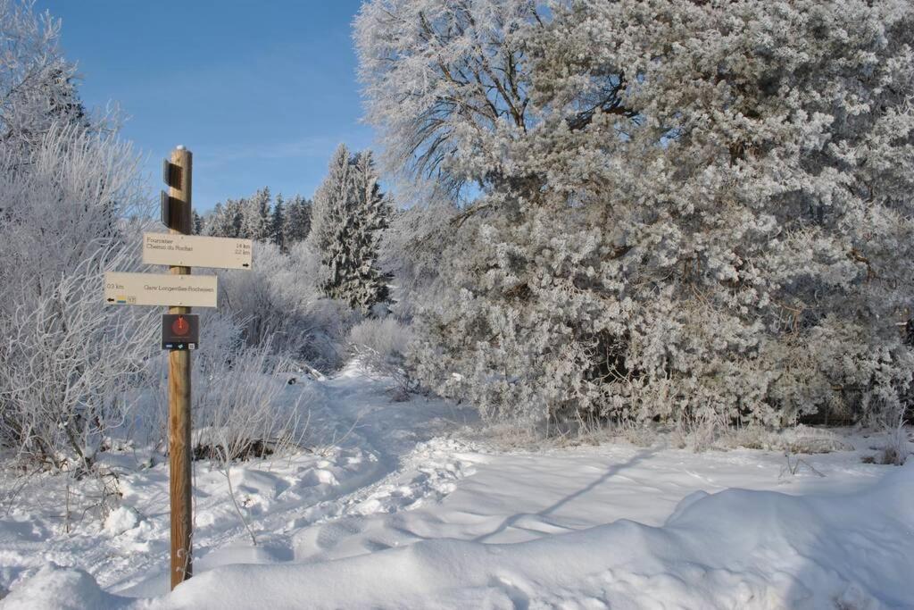 Gite Du Fourperet-Parc Naturel Du Haut-Jura Longevilles-Mont-dʼOr Eksteriør billede