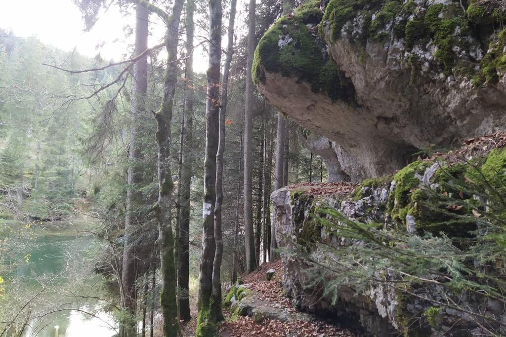 Gite Du Fourperet-Parc Naturel Du Haut-Jura Longevilles-Mont-dʼOr Eksteriør billede